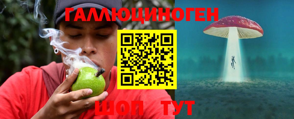 Евпатория  Псилоцибиновые грибы Psilocybe  Вход с VPN 